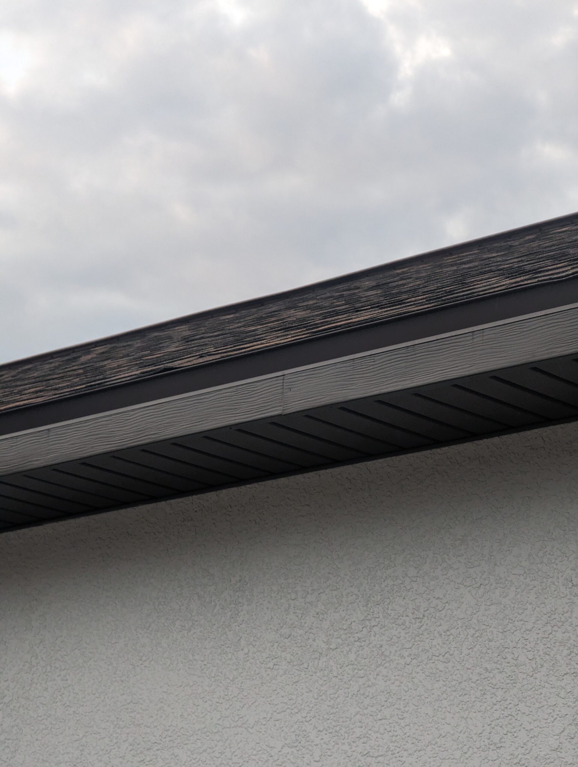 Jacksonville Fascia Repair and Roofing Services