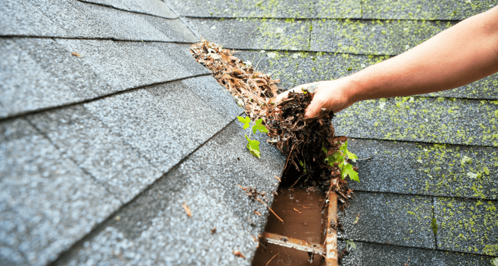 Clean Gutter Protection Repair and Cleaning Services
