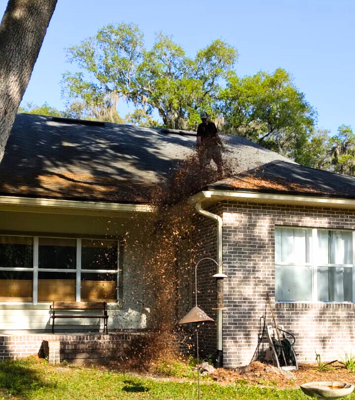 Clean Gutter Protection Gutter Cleaning Jacksonville Gutter Cleaning Residential Commercial Jacksonville North Florida