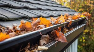Read more about the article Why is Gutter Cleaning so Important?